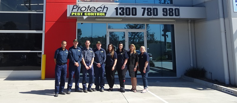About Protech Pest Control Service