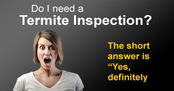 Termites Inspection Services