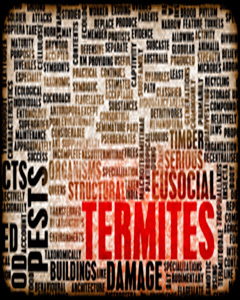 stock-medium-termites