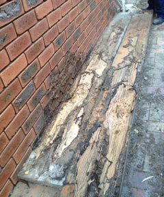 termite-damages-stored-timber